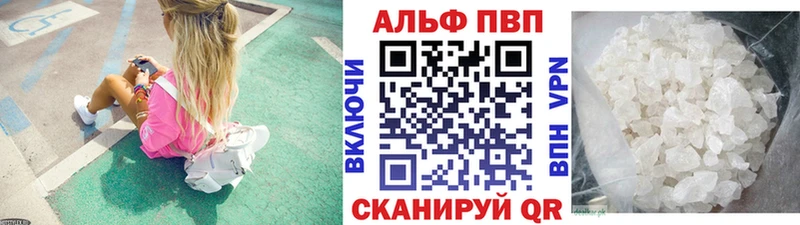 Альфа ПВП СК  Новокубанск 