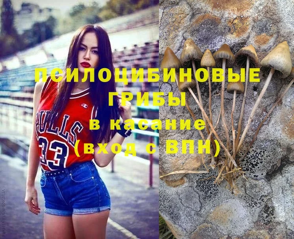 кокс Алексин